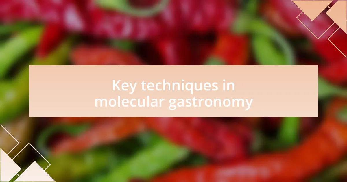 Key techniques in molecular gastronomy