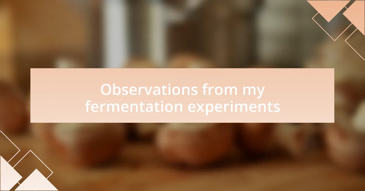 Observations from my fermentation experiments