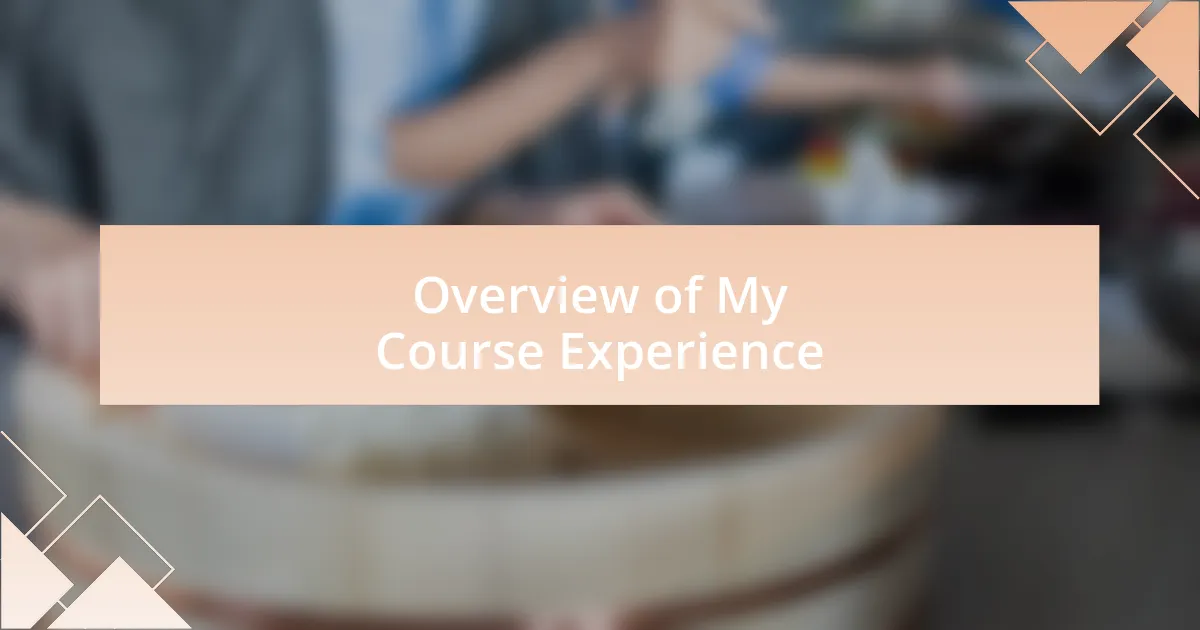 Overview of My Course Experience